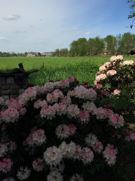 B&B De Lotus Hoevelaken Eksteriør bilde